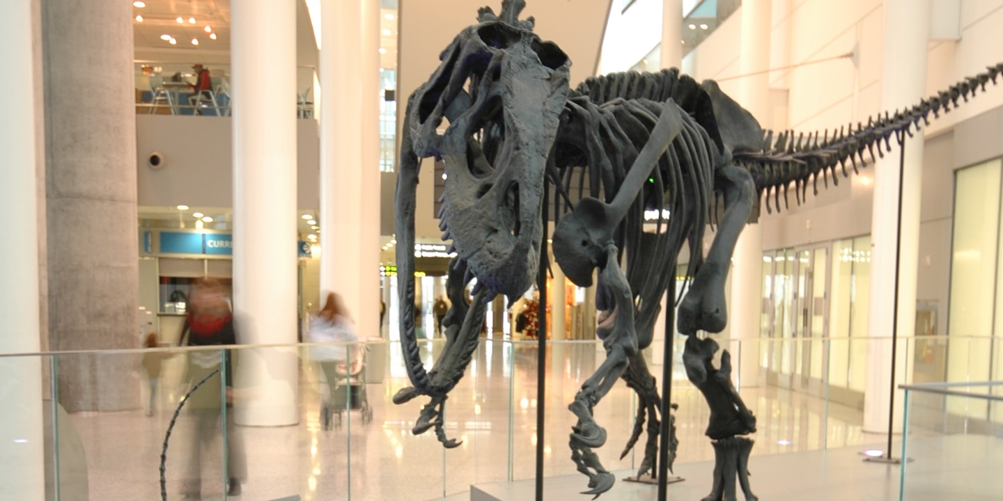 A Scene from the Late Jurassic en partenariat avec le Royal Ontario Mueseum