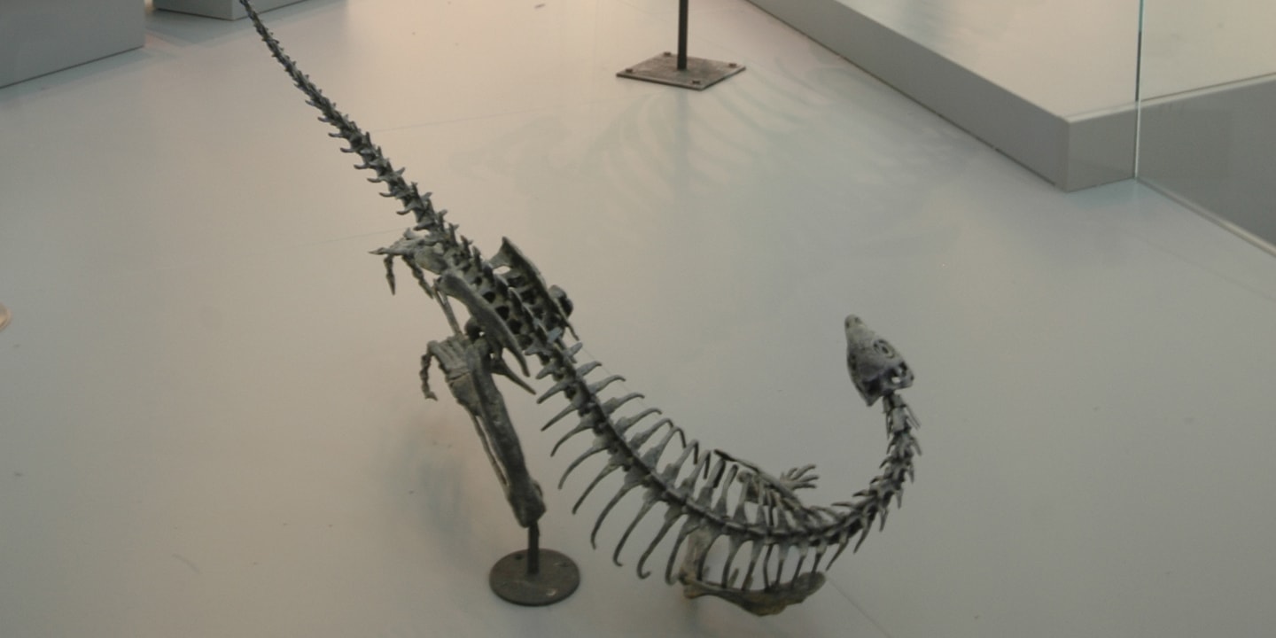 A Scene from the Late Jurassic en partenariat avec le Royal Ontario Mueseum