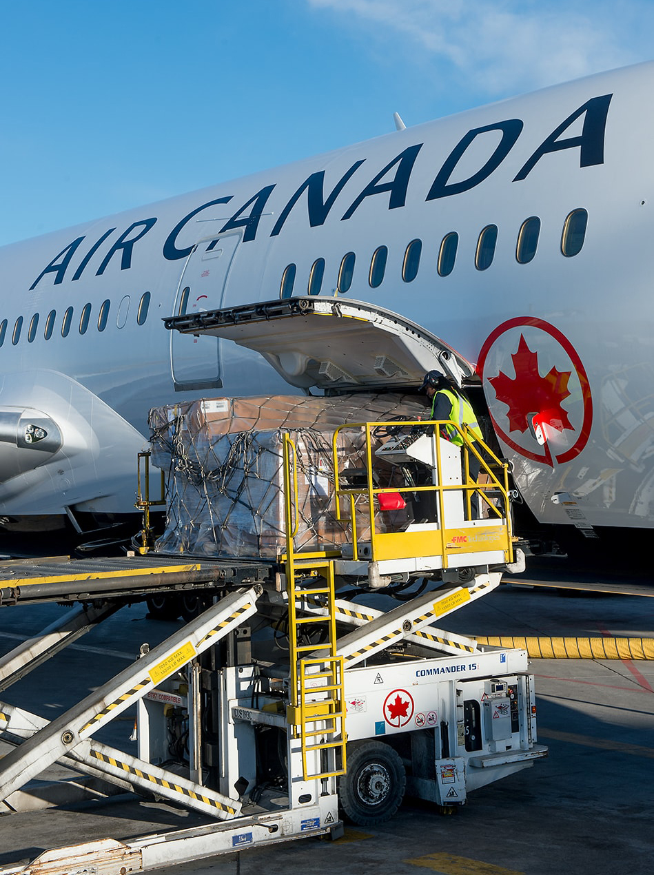 Employees loading cargo onto an Air Canada flight