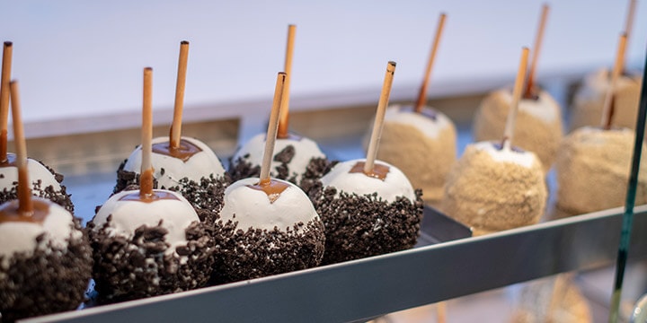 Rocky Mountain Chocolate