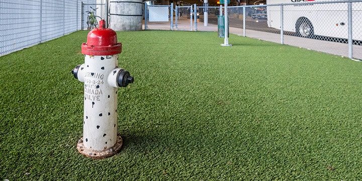 Fire hydrant on artificial grass in fenced in Pet Relief Zone. 
